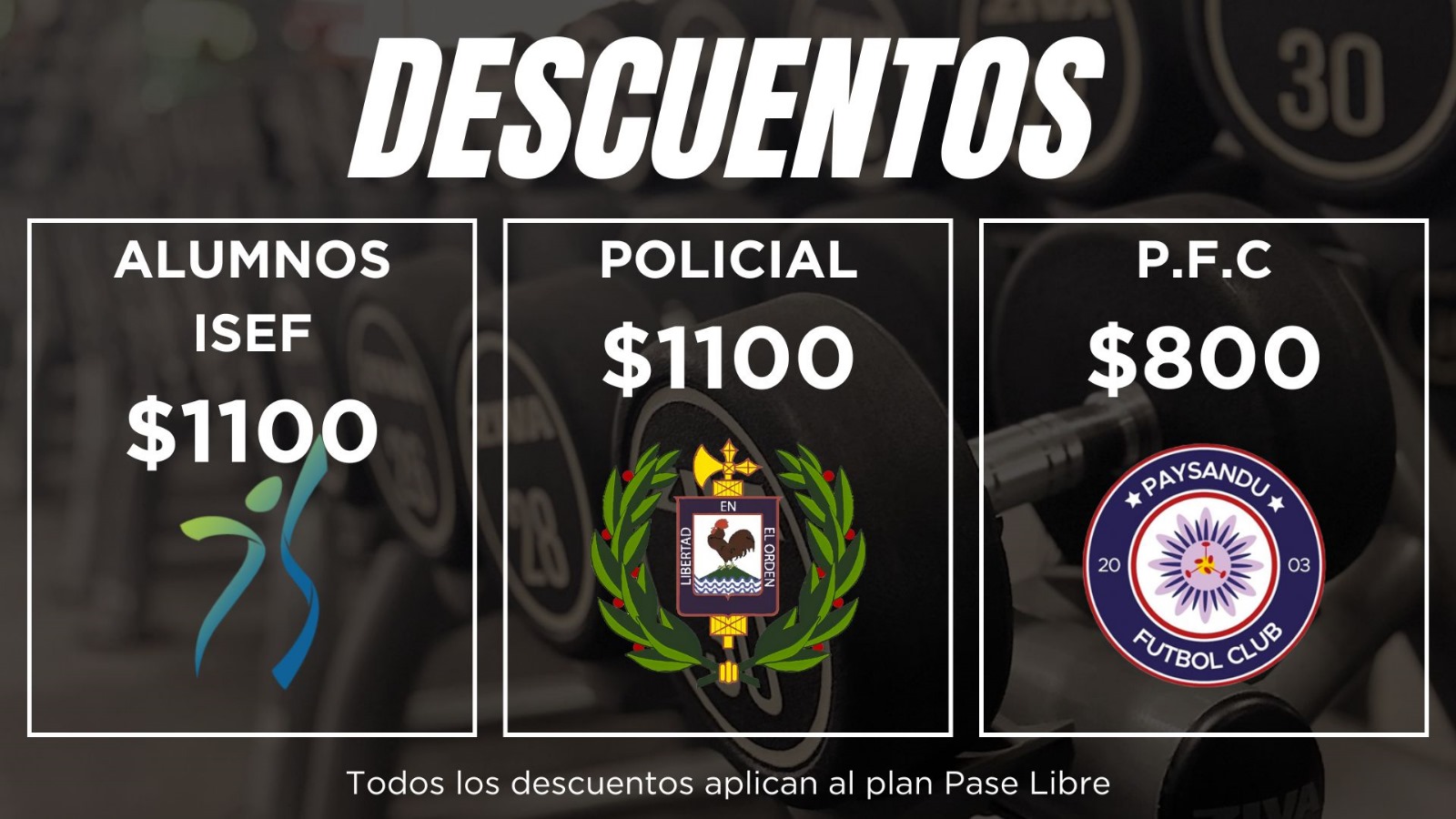 Promoción 4